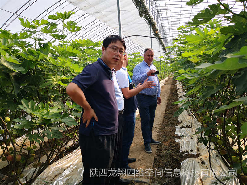 2019年董事長帶領外國友人在楊凌考察農(nóng)業(yè)